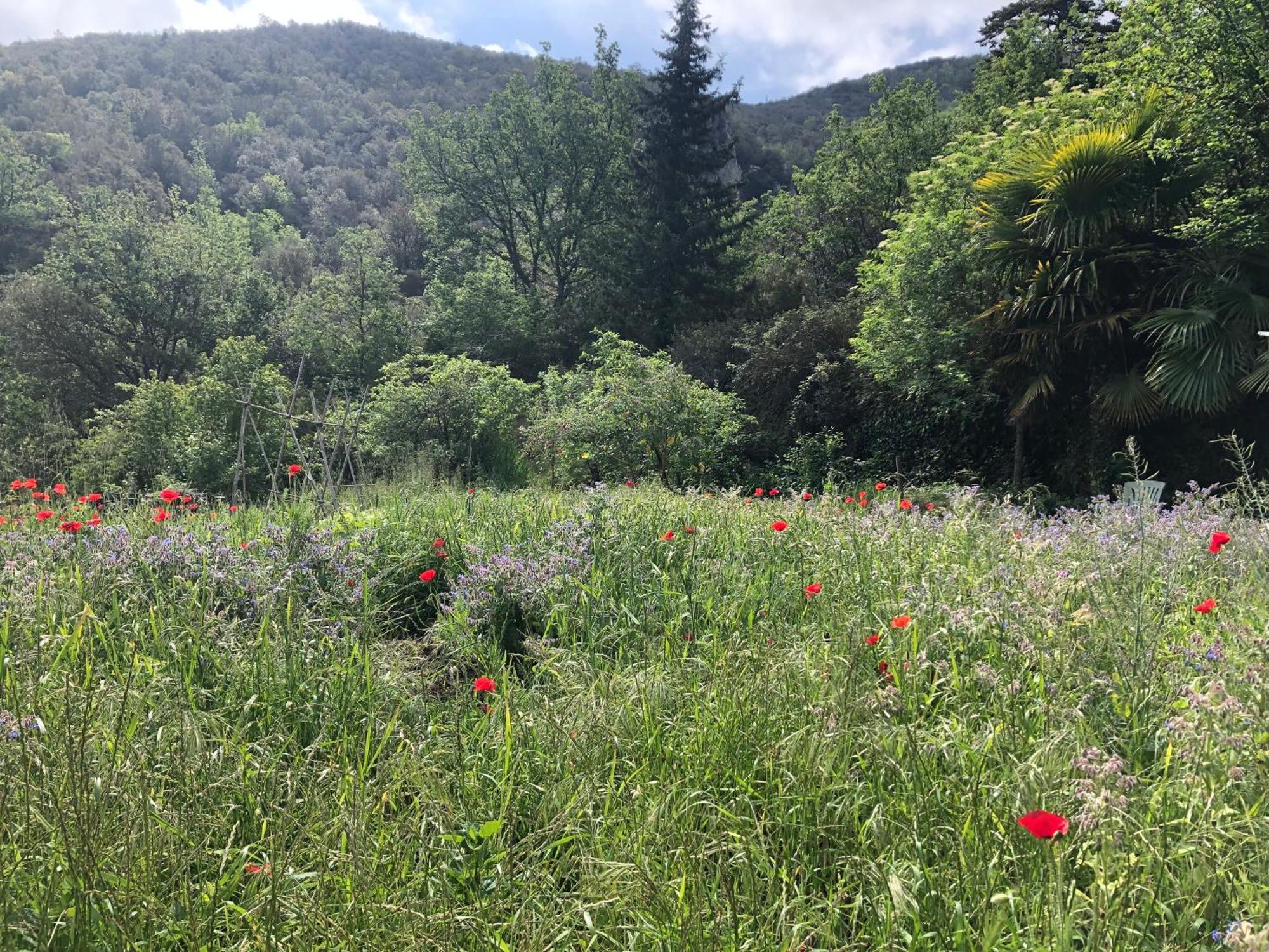 El Refugio Villa Reynès Eksteriør bilde
