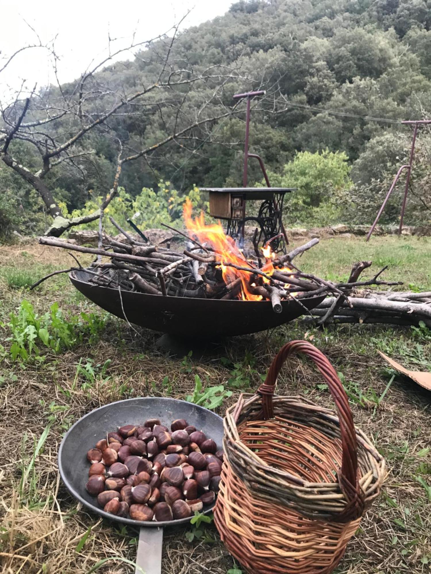 El Refugio Villa Reynès Eksteriør bilde
